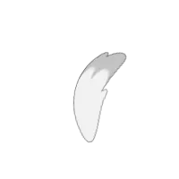 Tail Angle_000